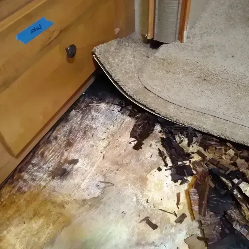 Best Wood Floor Water Damage Service in Osceola, IN